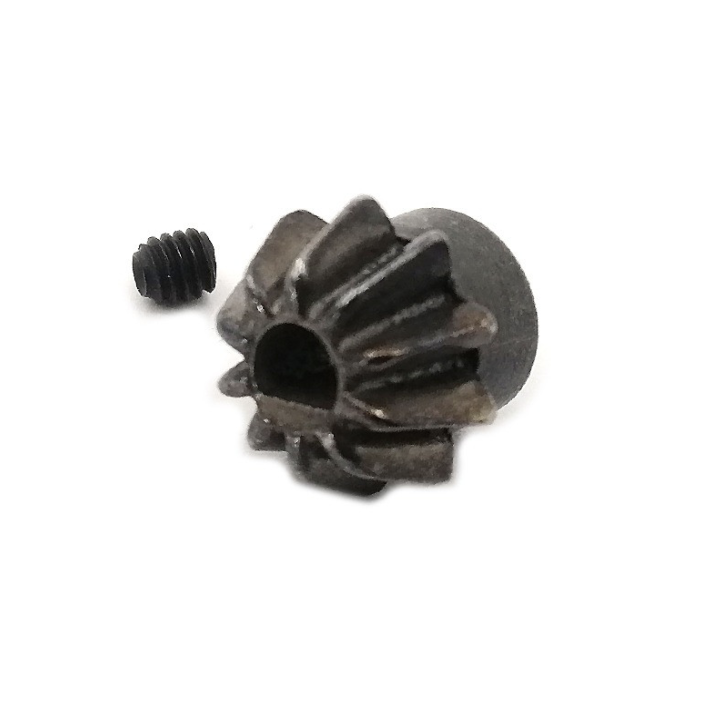 RACCOON Motor Gear type D